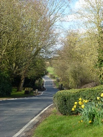 The road by the church in Great Leighs.