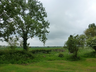 View across the fileds at Tolleshunt Major.